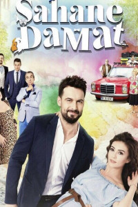 Замечательный зять 