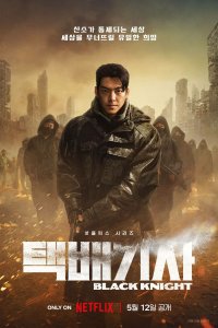 Чёрный рыцарь 