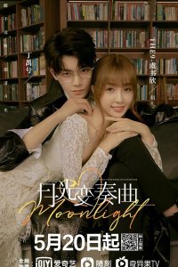 Лунный свет 