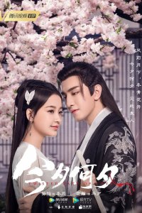 Какая сегодня ночь! 