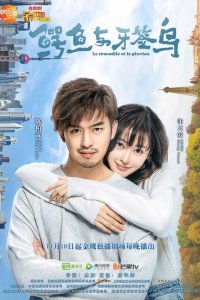 Как чистить зубы крокодилу 