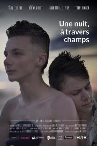 Однажды ночью через поля 