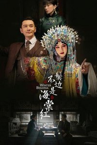 Зимняя бегония 