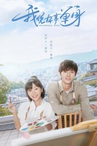 Профессионал-одиночка 