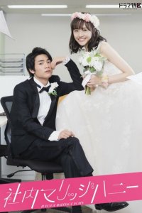 Милый домашний брак 