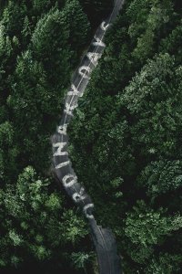 Обычные дни 