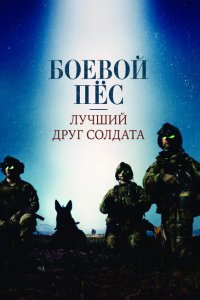 Боевой пес: Лучший друг солдата 