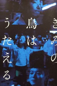 Твоя птица может петь 