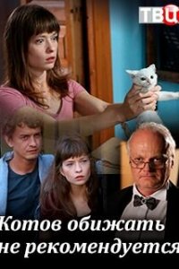 Котов обижать не рекомендуется 