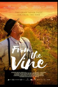 Лоза винограда 