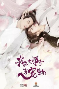 Кошка из палаты по уголовным делам 