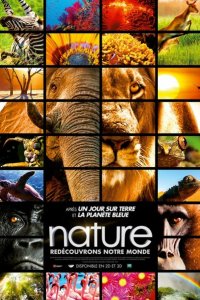 Заколдованное королевство 3D 