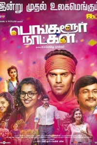 Бангалорские дни 