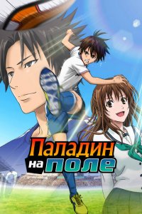 Паладин на поле 