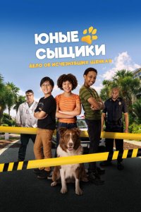 Юные сыщики. Дело об исчезнувших щенках 