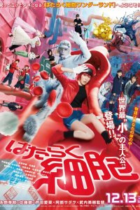 Клетки за работой 