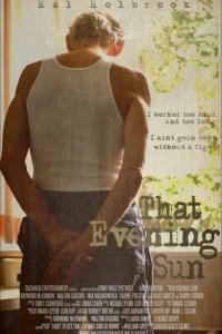 Это вечернее солнце 