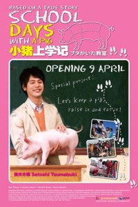 Класс, в котором был поросёнок 