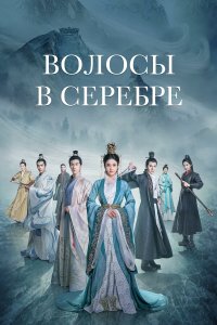 Волосы в серебре 