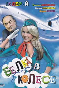 Белка в колесе 